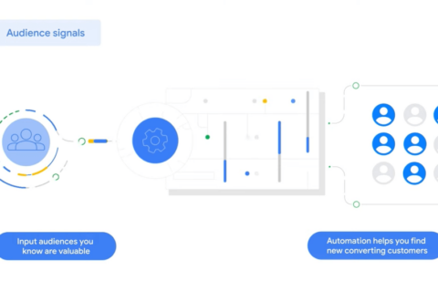 What are audience signals in Google Ads Maximize Performance campaigns?